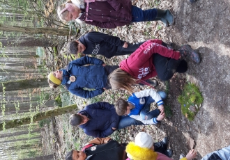 Impressionen aus dem Schulwald im April