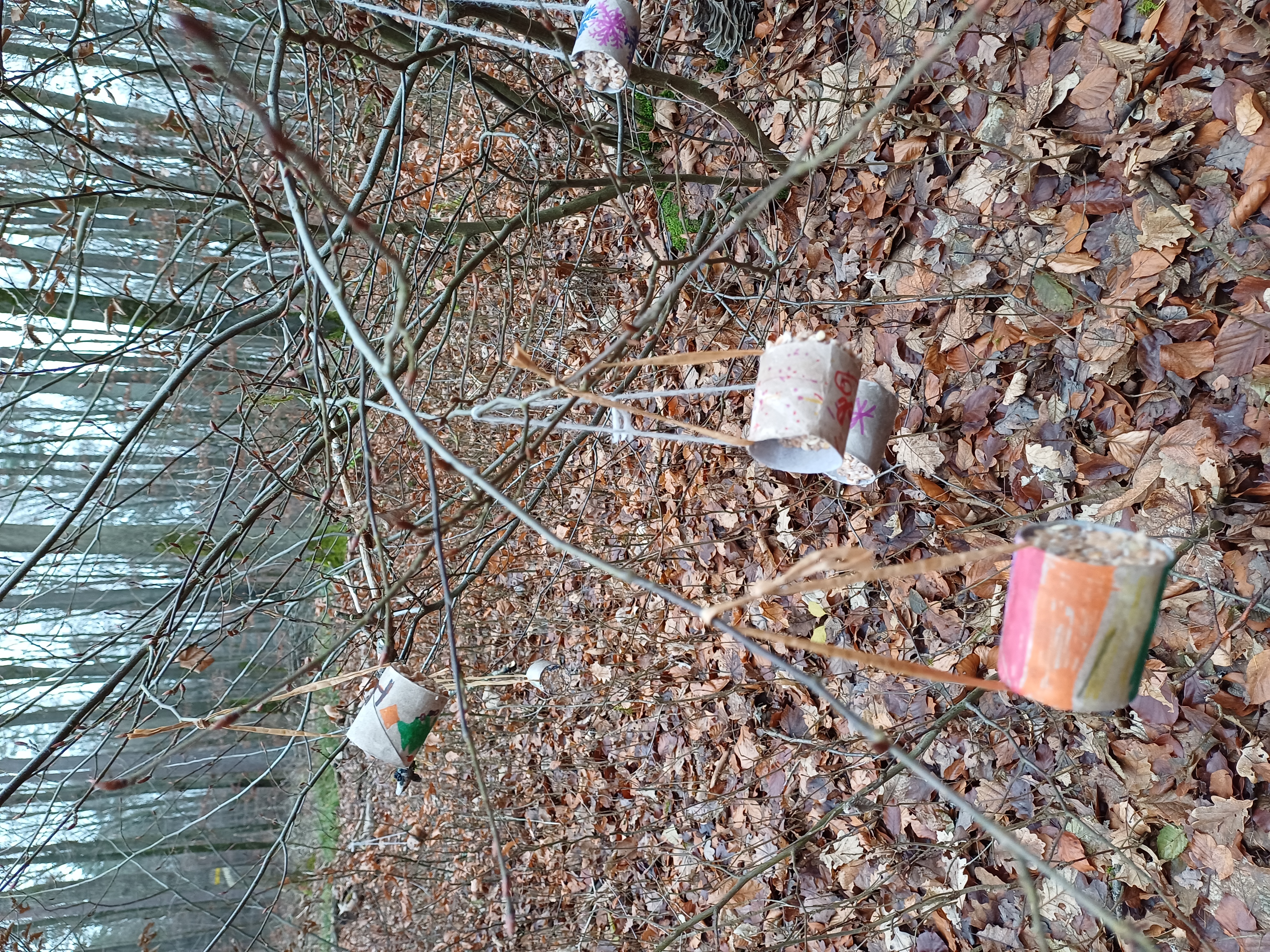 Waldweihnacht